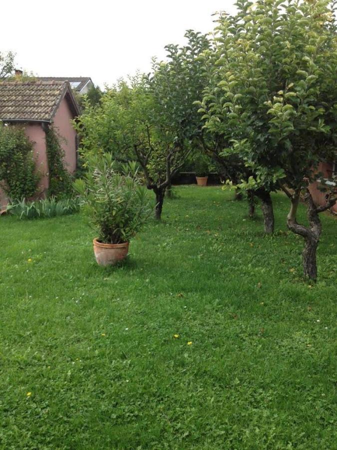Les Portes Du Vignoble Нюи-Сен-Жорж Экстерьер фото